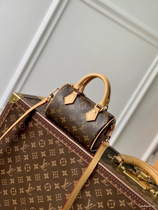 WIS VUITTON NANO LOUIS SPEEDY 0906